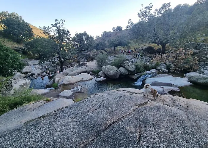 Los Laureles